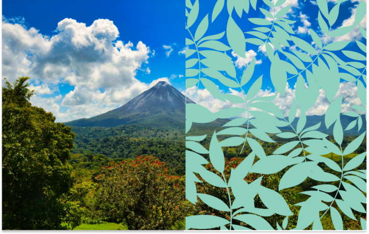 Group-earth-messge-compressed