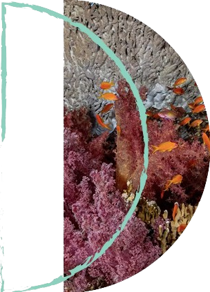 imgpsh_fullsize_anim-removebg-preview